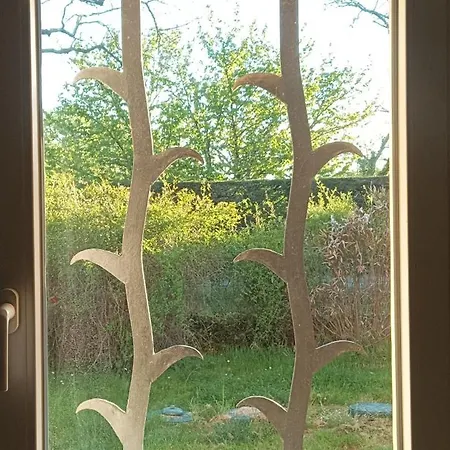 Chambre Avec Cuisine Et Salon