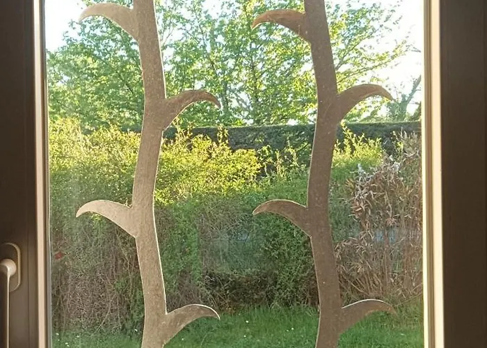 Chambre Avec Cuisine Et Salon